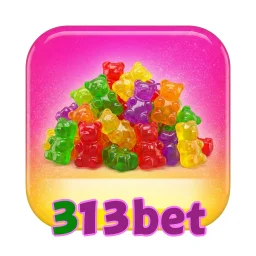 313bet